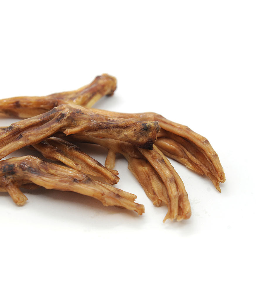Duck Feet (Pack of 15)