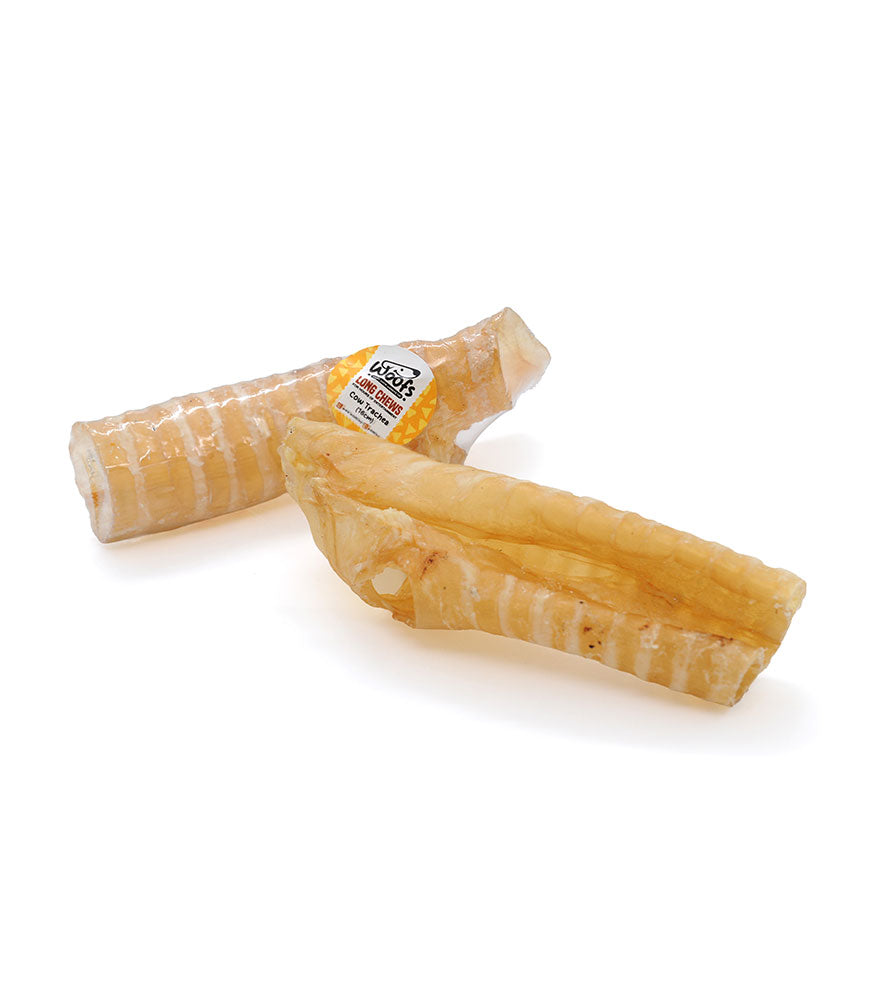 Cow Trachea (1 piece)