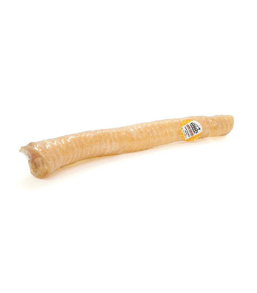 Cow Trachea (1 piece)