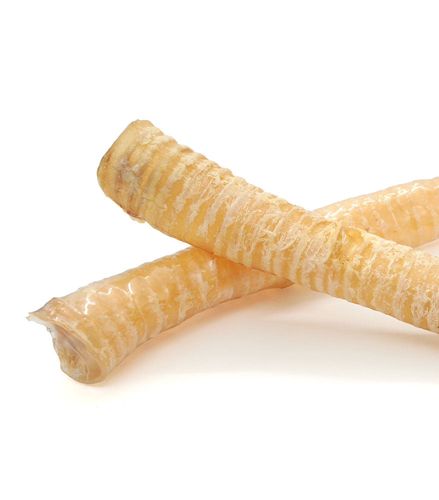 Cow Trachea (1 piece)