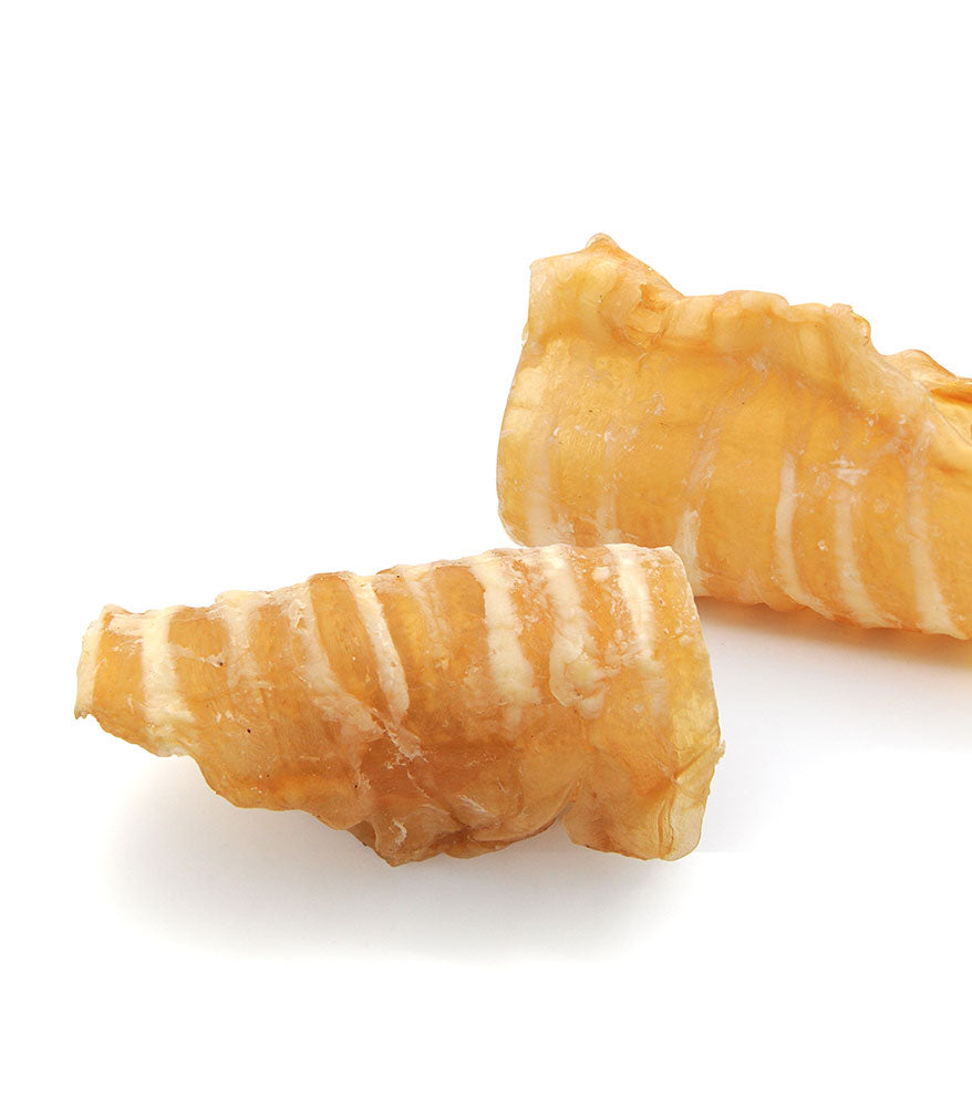 Cow Trachea (1 piece)
