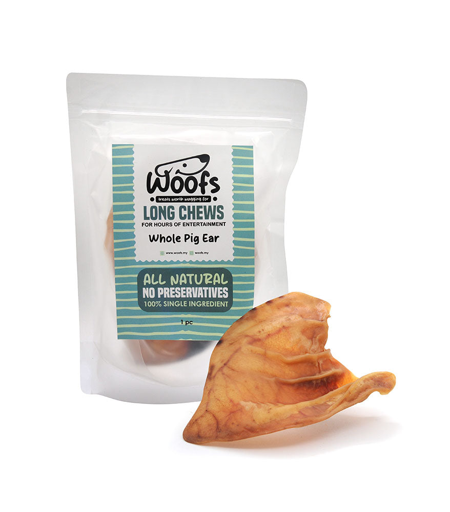 Whole Pig Ear (1 piece)
