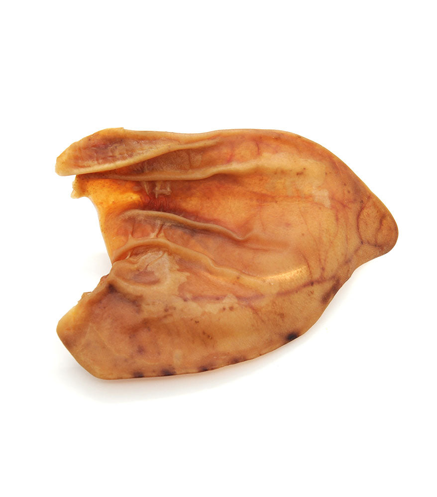 Whole Pig Ear (1 piece)