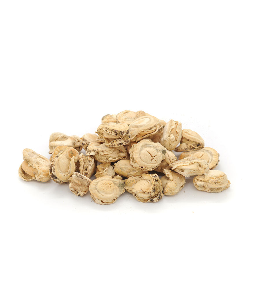 Freeze Dried Scallops