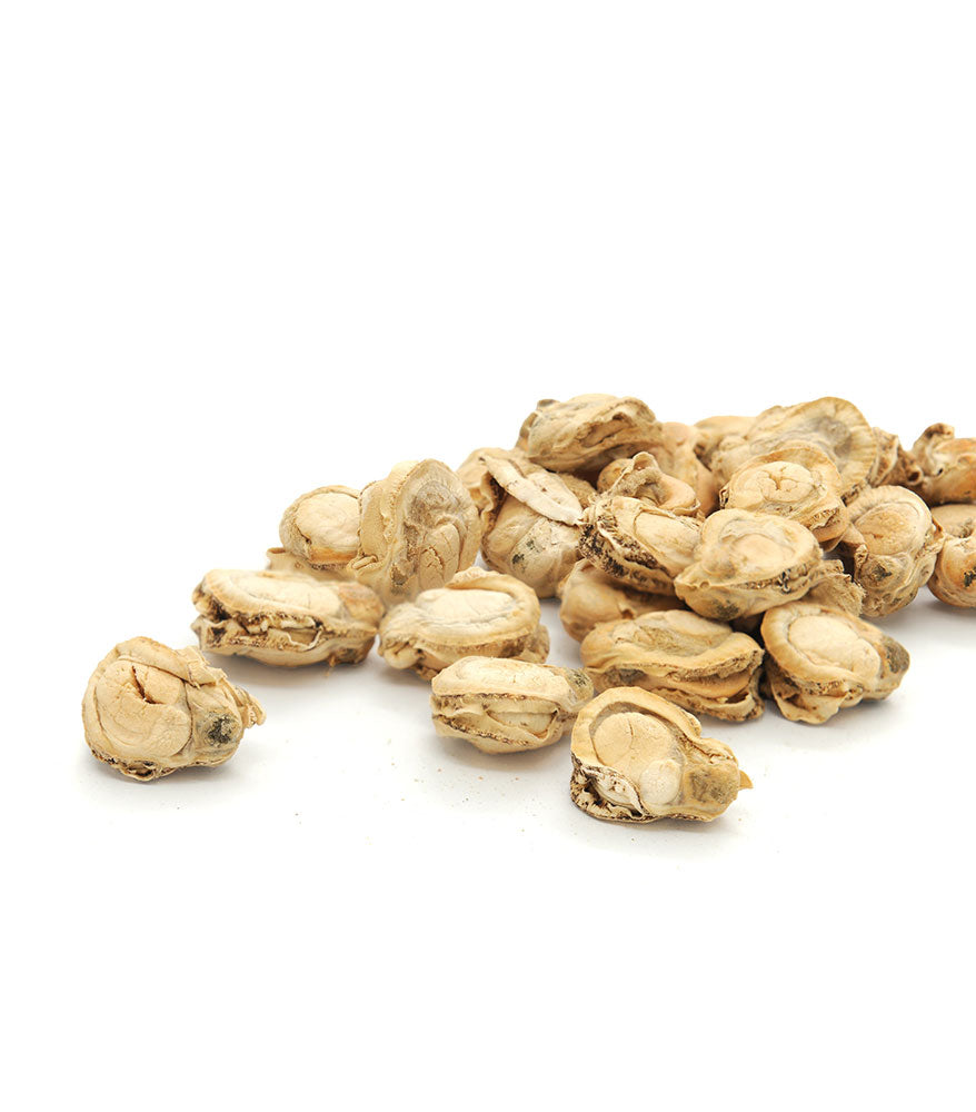Freeze Dried Scallops