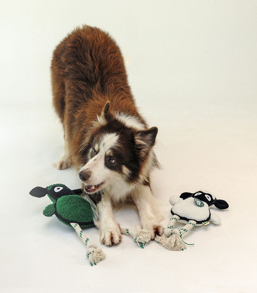 Green Sheep Rope Toy