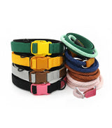Smart Leash