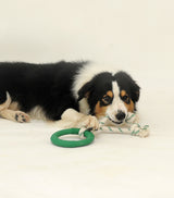 Natural Rubber Hoop With Rope Toy
