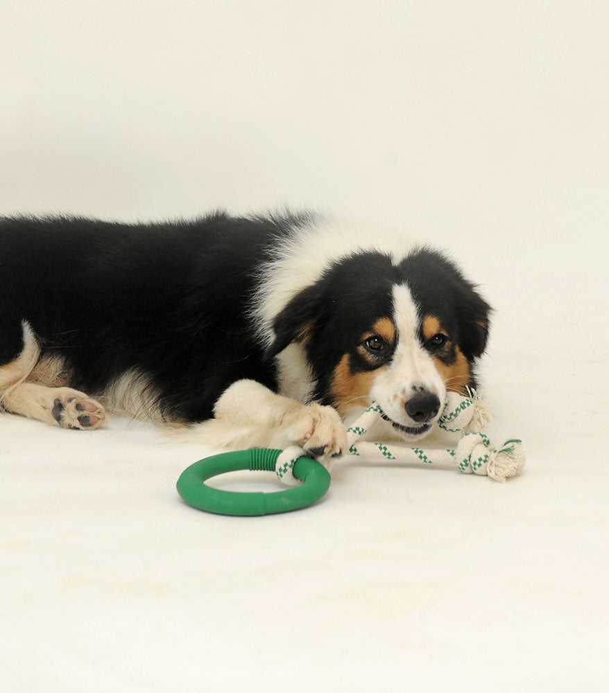 Natural Rubber Hoop With Rope Toy
