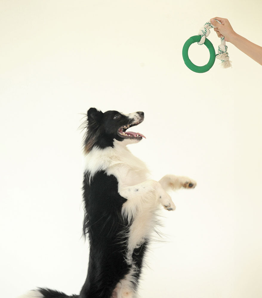 Natural Rubber Hoop With Rope Toy