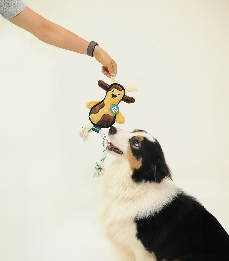 Rough & Tough Goat Rope Toy (M)