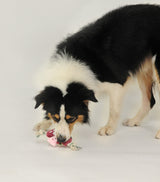 Stuffing Free Plush Mushroom Rope Toy