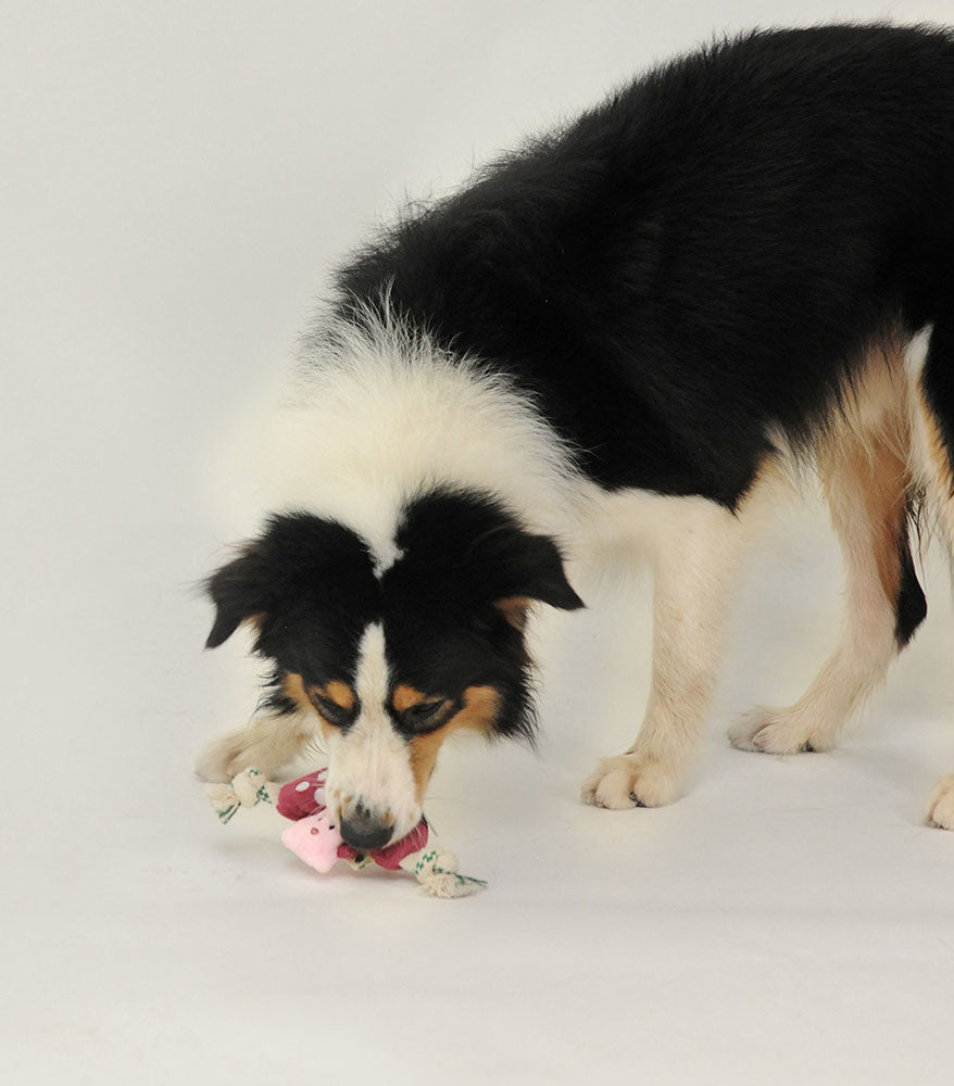Stuffing Free Plush Mushroom Rope Toy