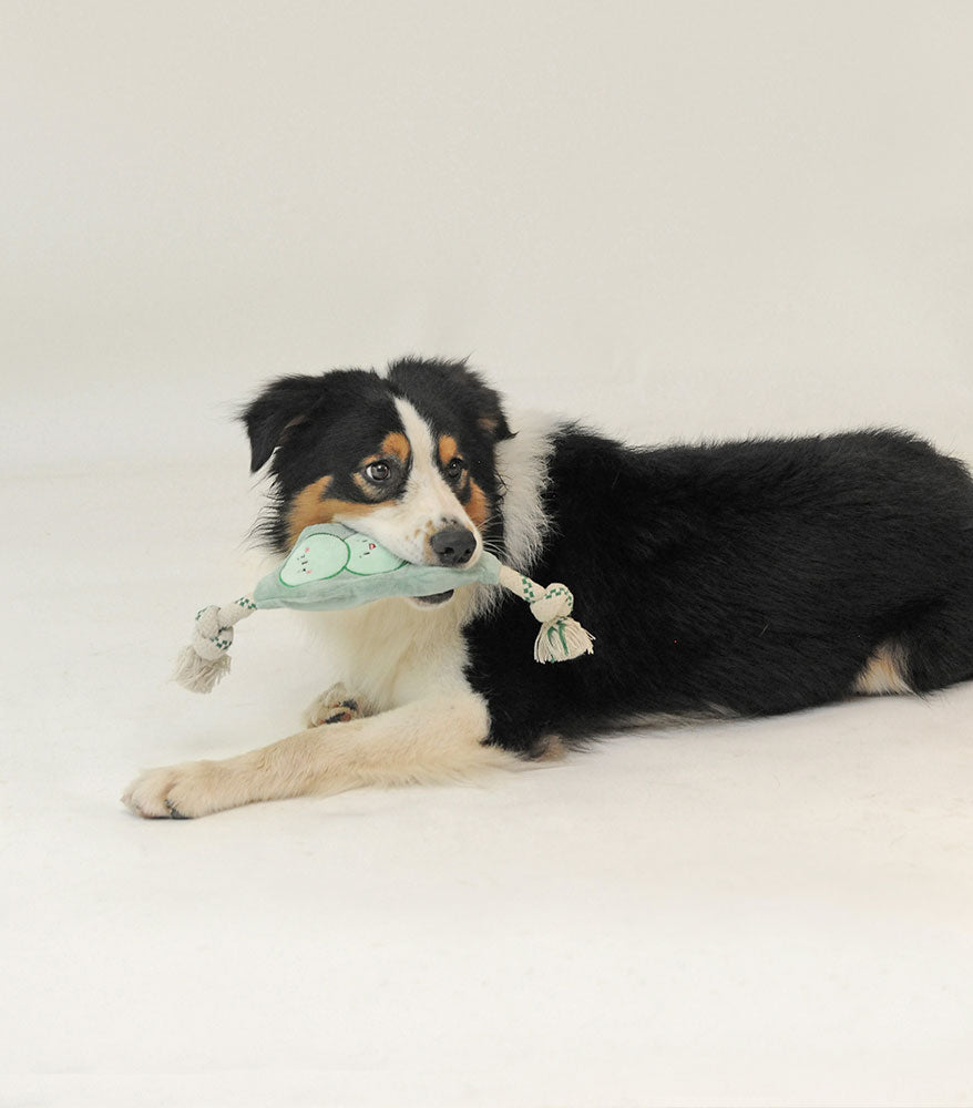 Stuffing Free Plush Pea Rope Toy