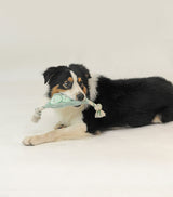 Stuffing Free Plush Pea Rope Toy