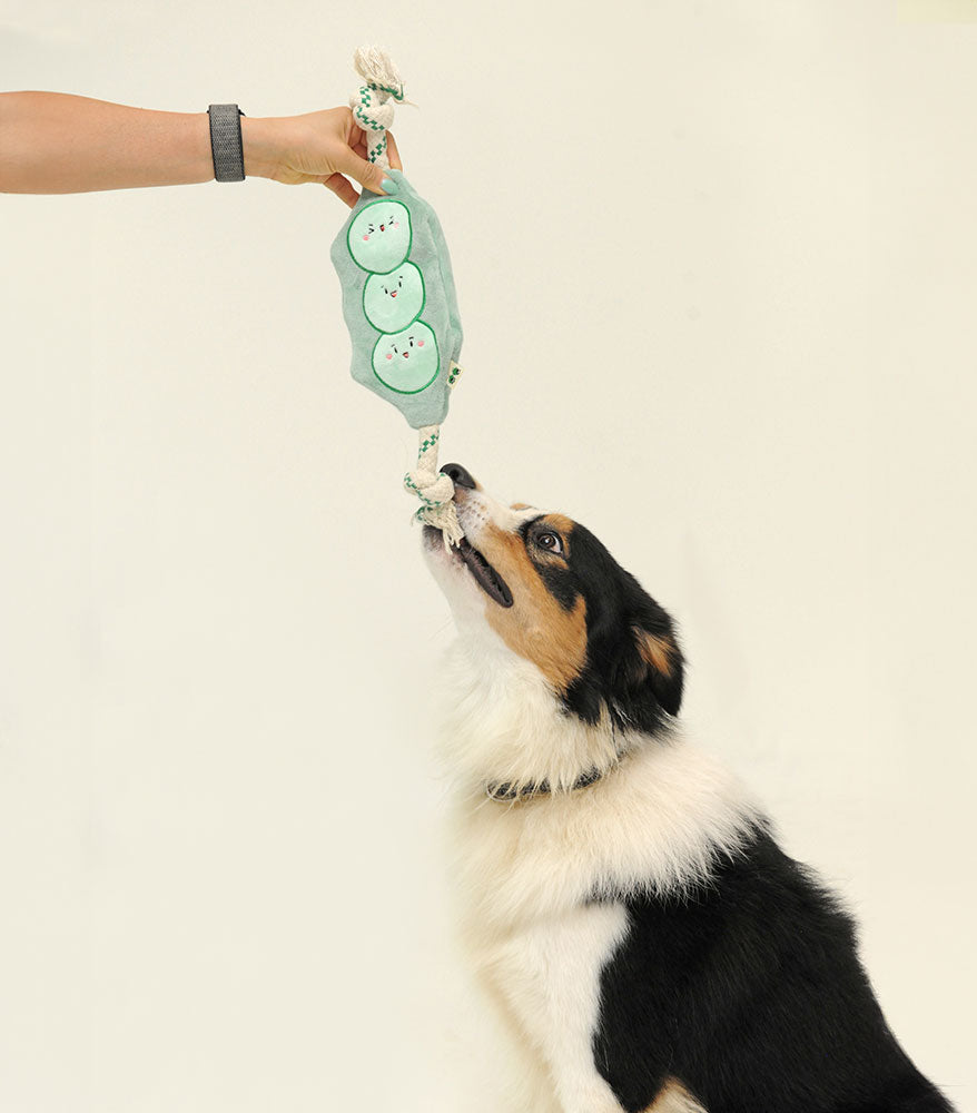 Stuffing Free Plush Pea Rope Toy