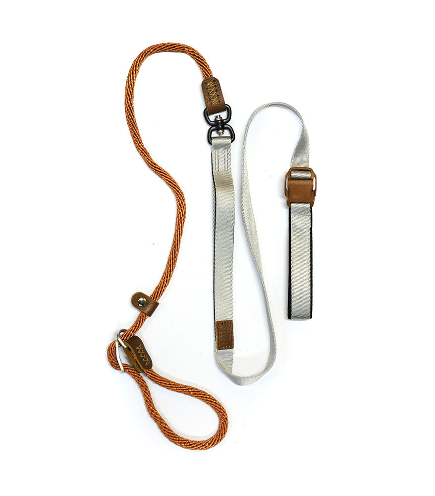 Smart Leash