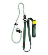 Smart Leash