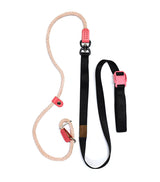 Smart Leash