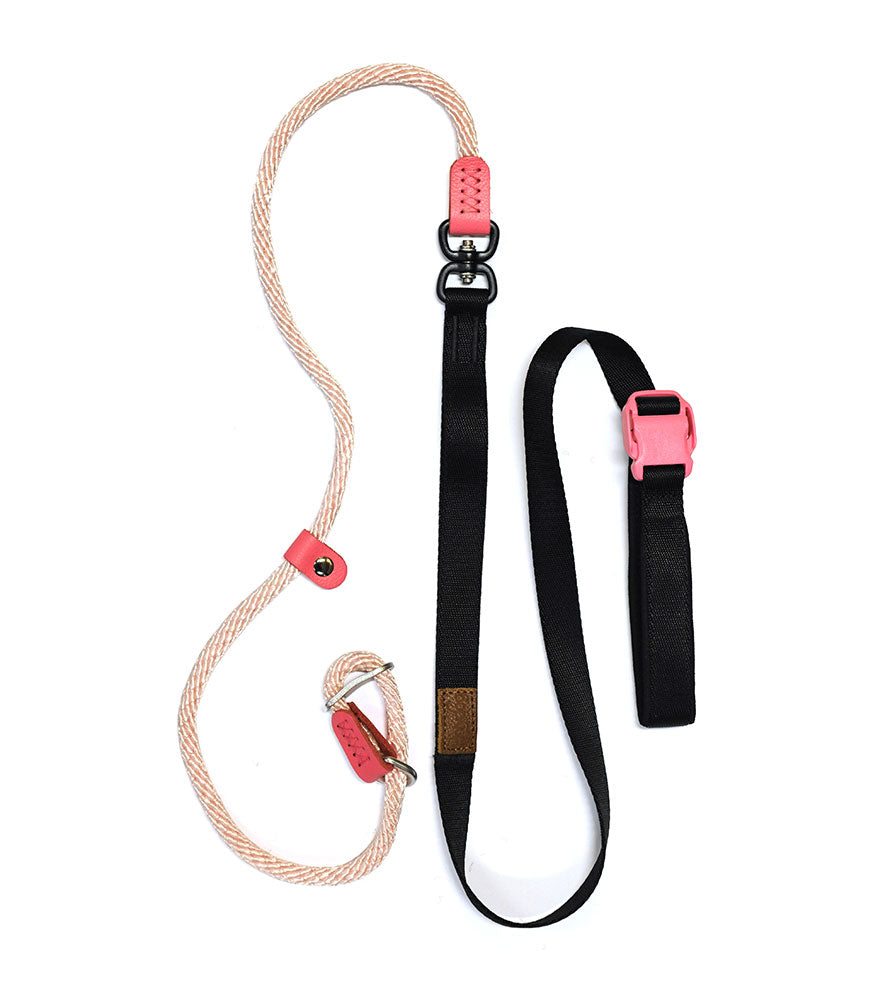 Smart Leash