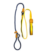 Smart Leash