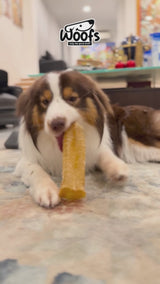 Cow Trachea (1 piece)